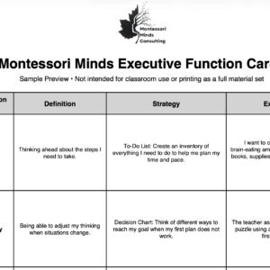 Executive Function Nomenclature/Strategy & Scenario Card